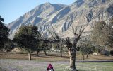 مدیرکل امور روستایی استانداری خوزستان: دومین جشنواره زعفران دزپارت برگزار شد
