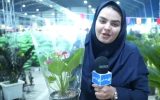 ‌افتتاح ‌نمایشگاه گل‌وگیاه و تجهیزات باغبانی در بندر ماهشهر