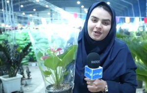 ‌افتتاح ‌نمایشگاه گل‌وگیاه و تجهیزات باغبانی در بندر ماهشهر