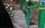 برگزاری آیین شیرخوارگان حسینی در بندرماهشهر
