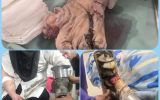نجات بانوی مصدوم در حادثه شغلی بندر امام خمینی (ره) با همکاری تیم‌های امدادی و درمانی