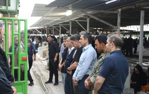 قرار پنجشنبه‌های فجر در جوار مزار شهید دکتر مهدی ویسی‌تبار برگزار شد